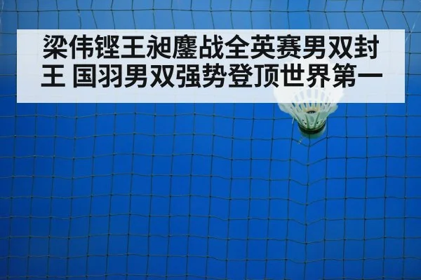 badminton net shot