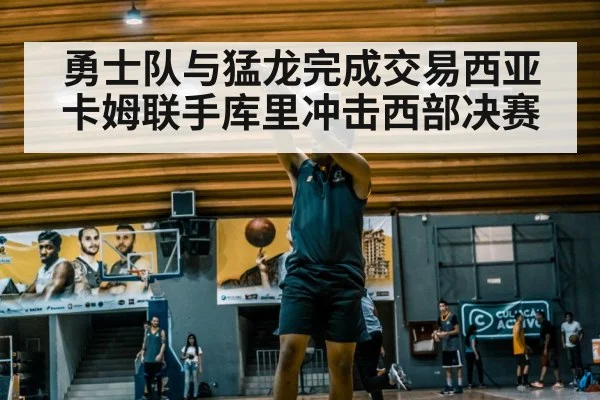 勇士队与猛龙完成交易西亚卡姆联手库里冲击西部决赛