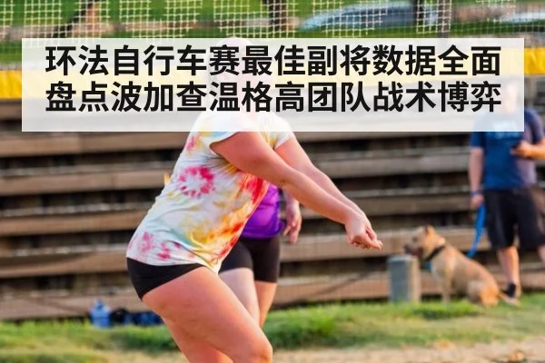 环法自行车赛最佳副将数据全面盘点波加查温格高团队战术博弈
